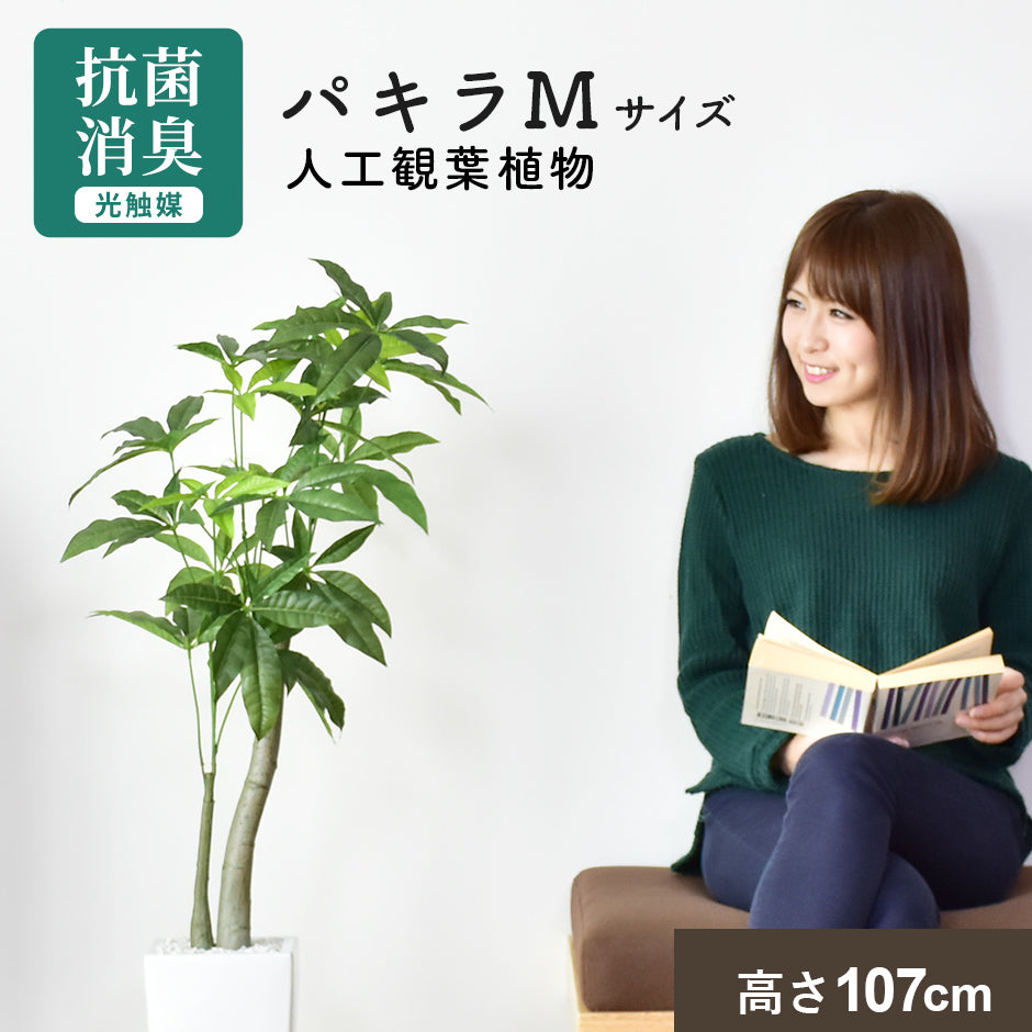 人工観葉植物 パキラ – remembrance-doris