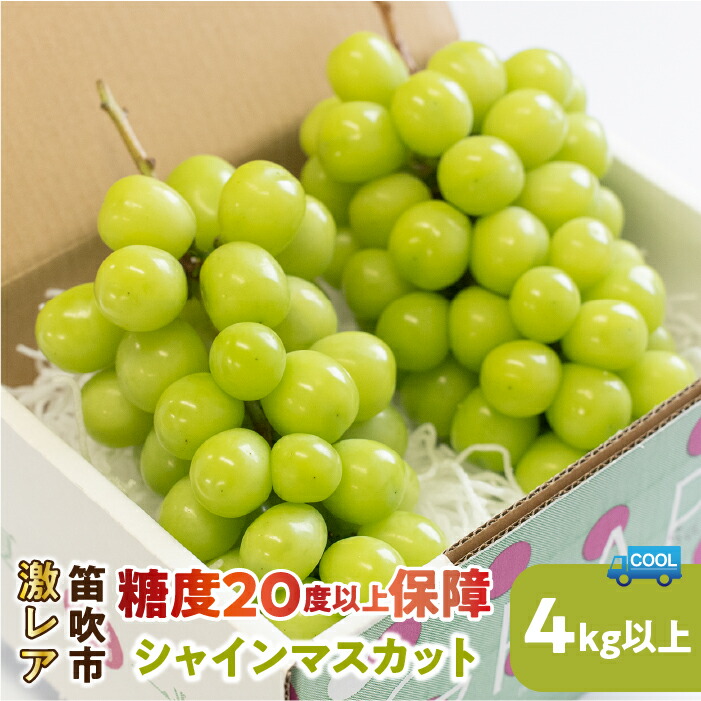 楽天市場】【ふるさと納税】【2026年発送☆先行予約】激レア