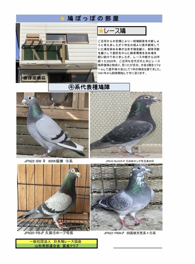 会津常勝荘 鳩ポッポのお部屋！