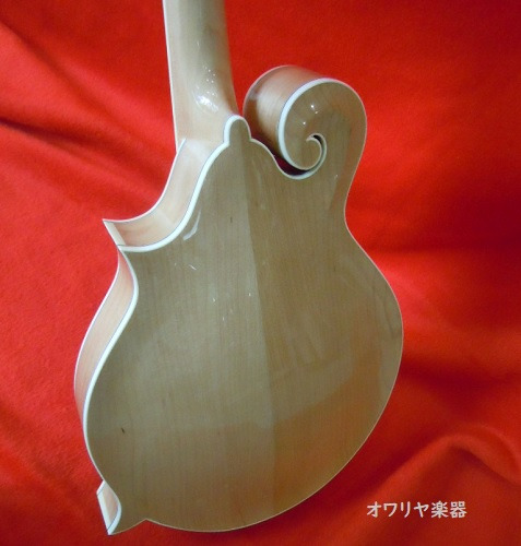 フラットマンドリン総単板シダー・ハードケースセット f60 ナチュラル