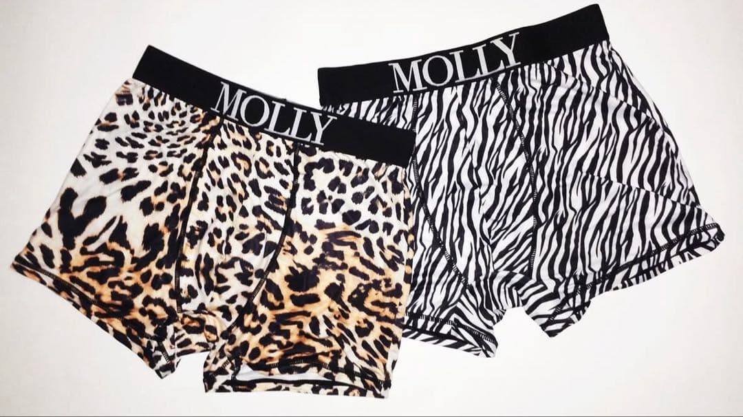 molly drawls zebra boxer ボクサーパンツ1枚 ボクサーパンツ 3枚セット メンズ 下着 前とじ bodywild ボディ